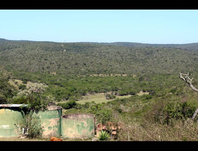 226HA FARM FOR SALE IN KOMGA RURAL